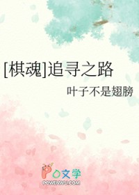 [棋魂] 追寻之路